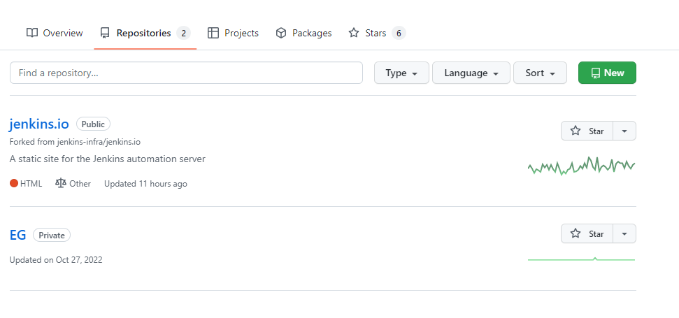 After clicking on the Repositories tab, a new page will open quickly where all your repositories are managed.