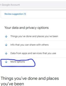 Under the "Account Section", click on "Data and privacy."
